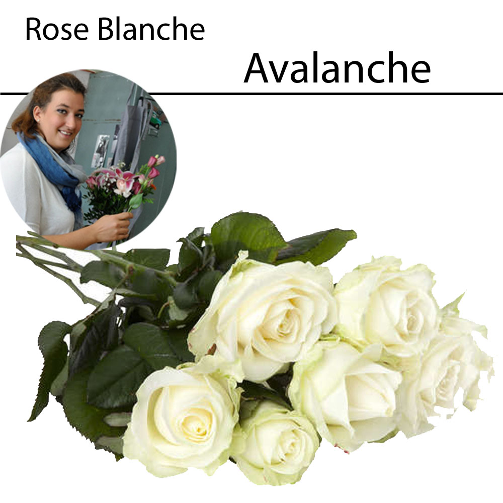 Fleur coupée Rose blanche Avalanche 1000 V& T'fleurs Artisan Fleuriste Troyes Pont